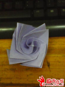 从一张纸到一座城 临海的玫瑰与生活叙事